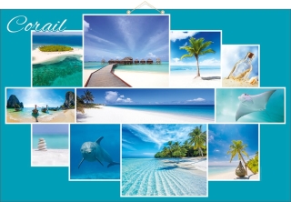 Visuels sur le thème des îles exotiques